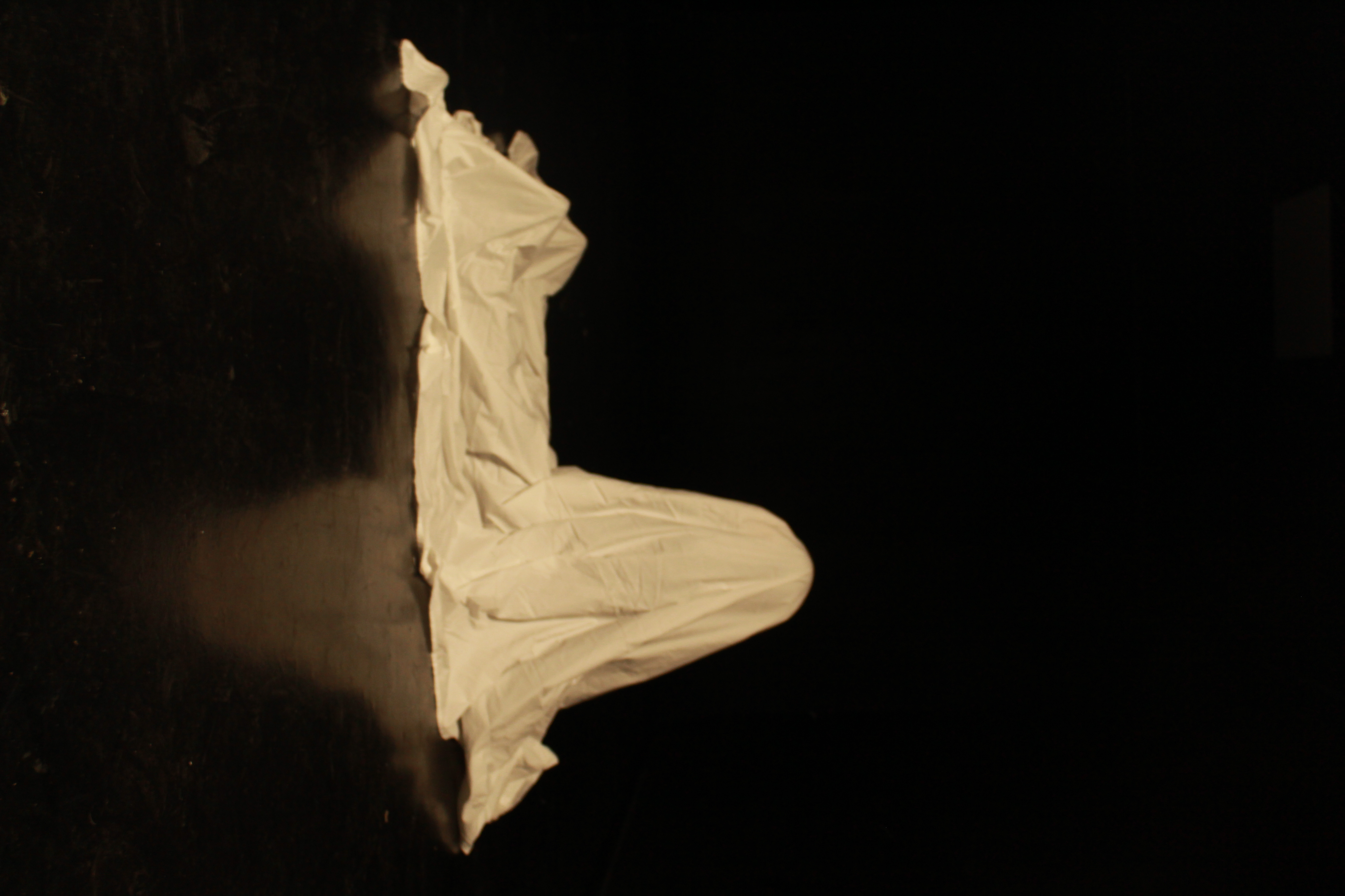 Descripción de la imagen