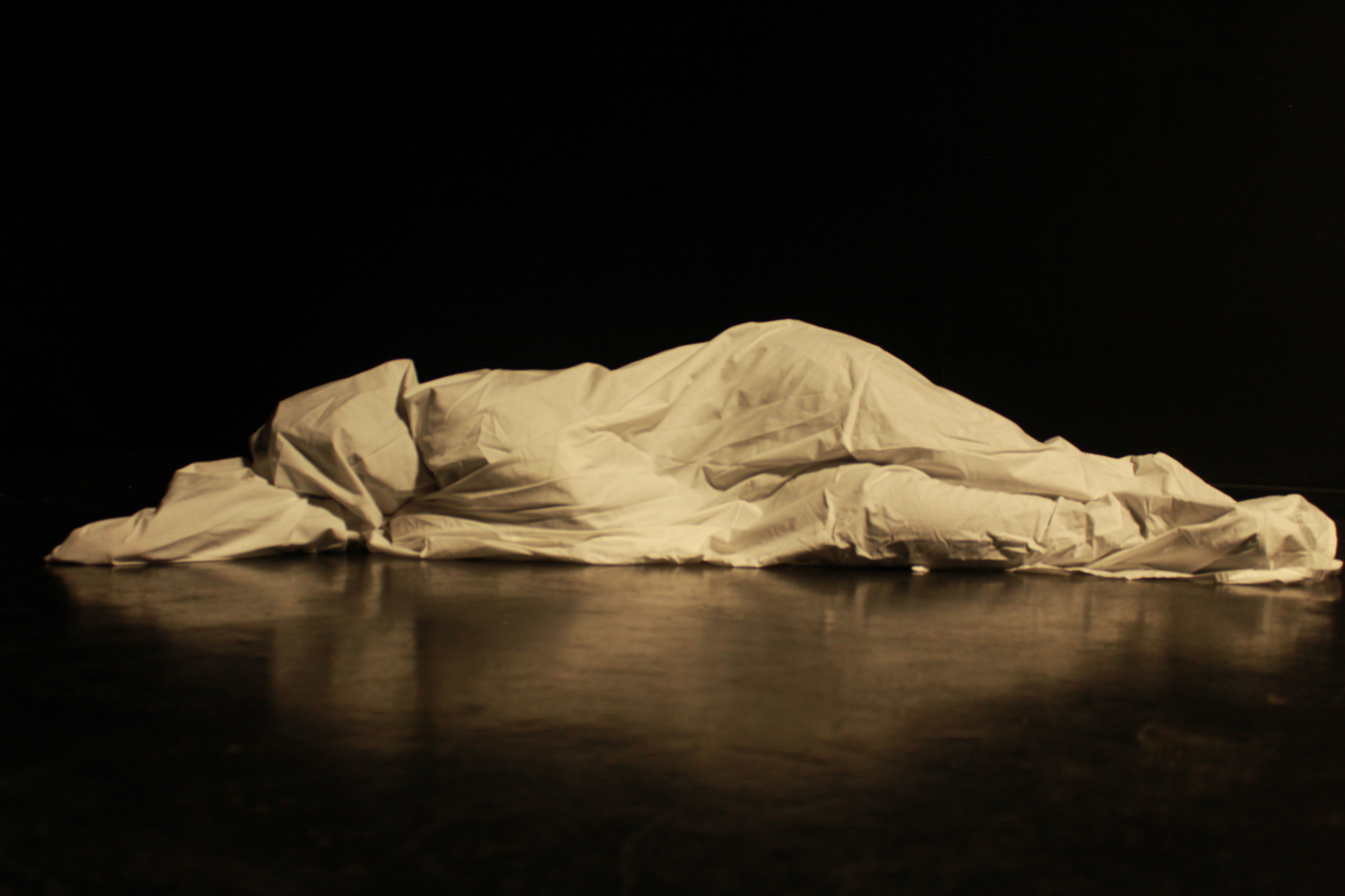 Descripción de la imagen